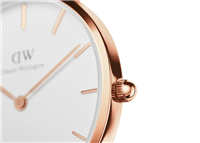 Orologio Daniel Wellington Donna  Petite Rosewater in Acciaio placcato oro rosa DW00100317 - DW00100317